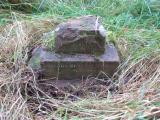 image of grave number 443881